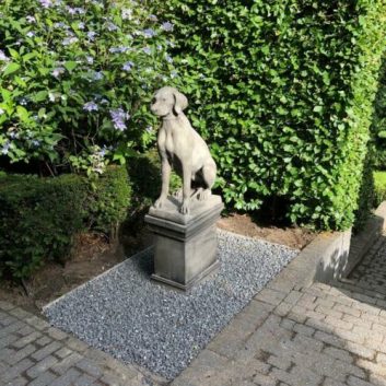 Set Engelse jachthonden op sokkel - Afbeelding 2