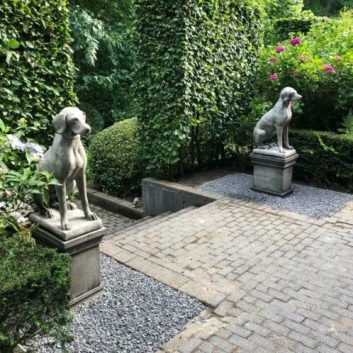 Set Engelse jachthonden op sokkel - Afbeelding 3