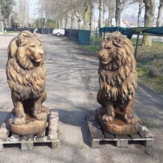 Set grote leeuwen oud roestlook
