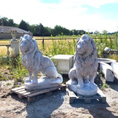 Set betonnen grote leeuwen