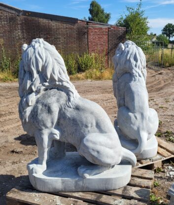 Set betonnen grote leeuwen - Afbeelding 2